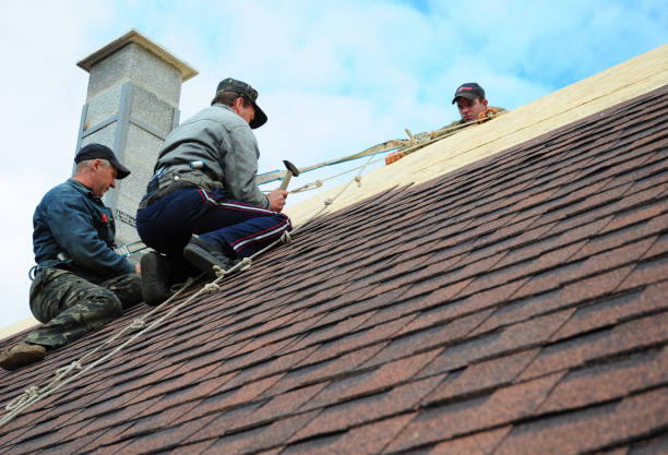 Quick and Trustworthy Emergency Roof Repair Services in Sleepy Hollow, IL